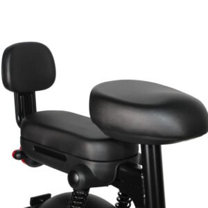Scooter Elétrica Cavalletta C3 banco